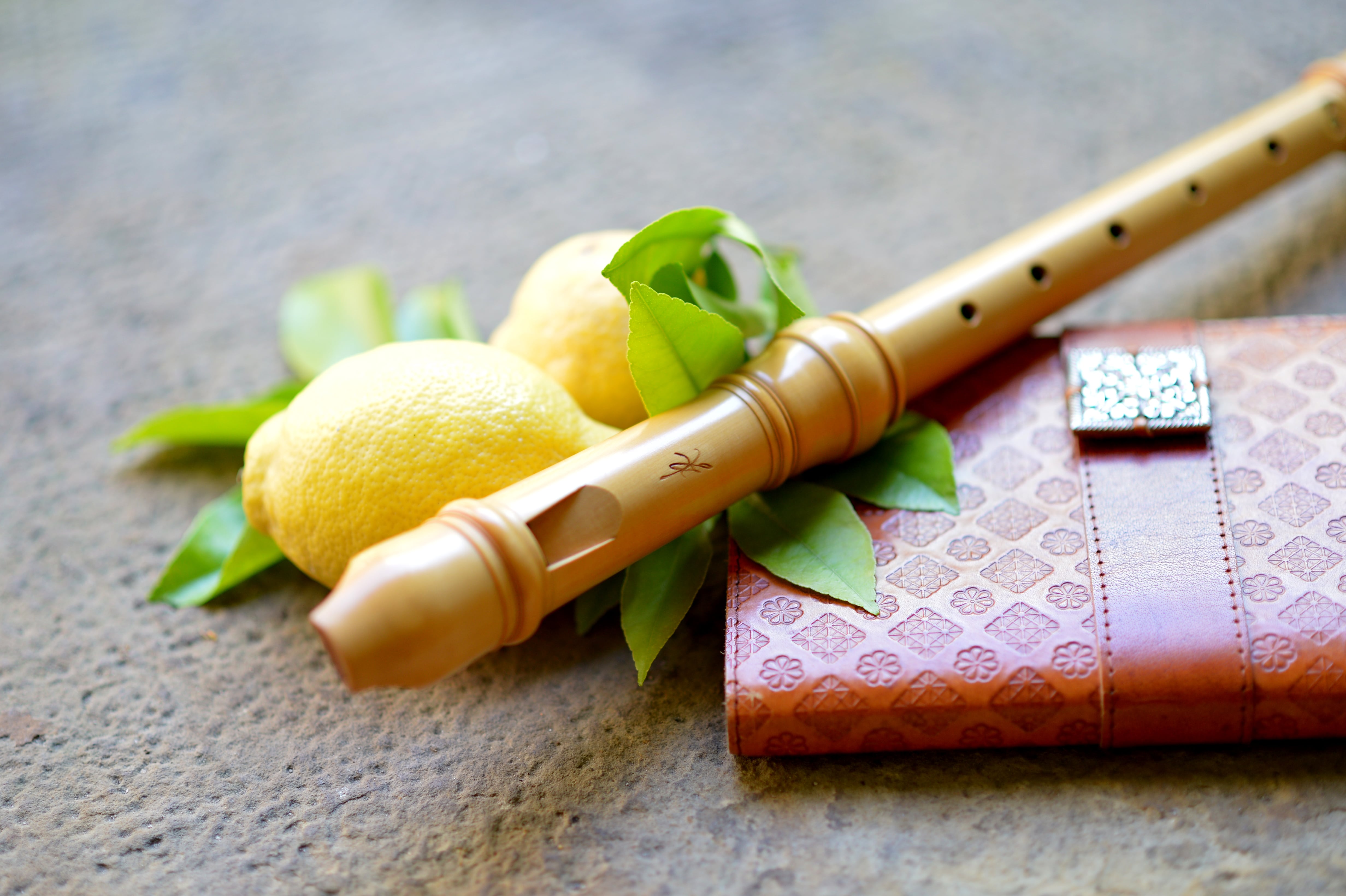 Barbara Heindlmeier Blockflöte Zink conetto recorder Barbara Heindlmeier Blockflöte Zink conetto recorder